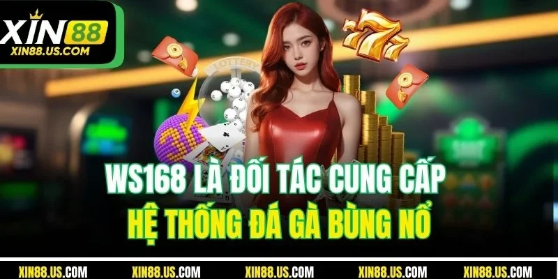 WS168 là đối tác cung cấp hệ thống đá gà bùng nổ